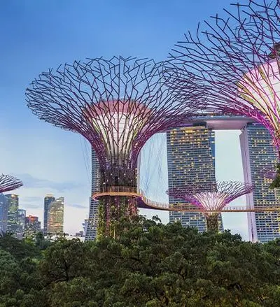 Supertree Grove at Gardens by the Bay, Singapore