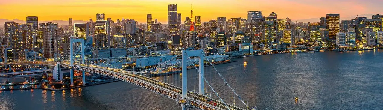 Tokyo skyline and bridge at sunset